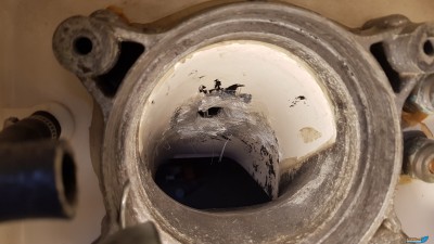 20180810_194309.jpg