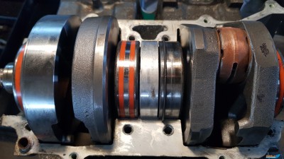 20180920_144959.jpg