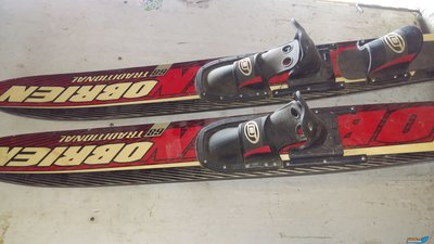 IMG-20190329-WA0007[1].jpeg