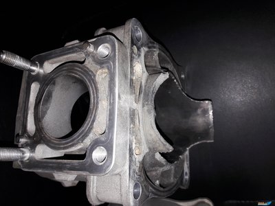 20190406_163636.jpg