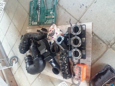 20190617_095212[1].jpg