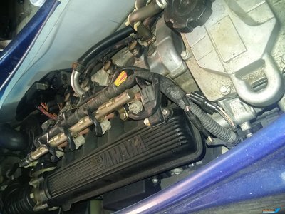 20190617_095138[1].jpg