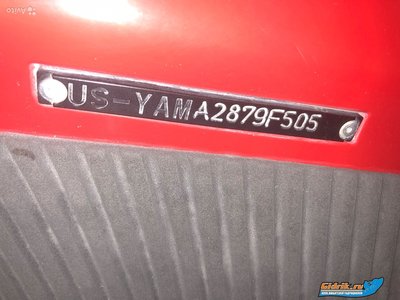 5274882772.jpg