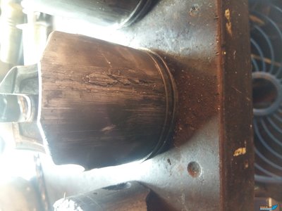 20190806_082934[1].jpg