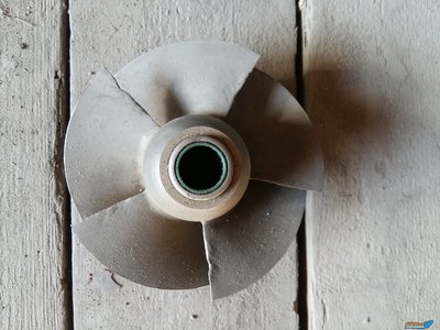 20190814_072343[1].jpg