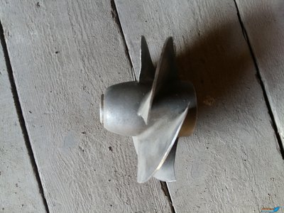 20190814_072436[1].jpg