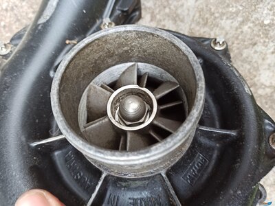 imgonline-com-ua-CompressBySize-r6DdWViwyg.jpg