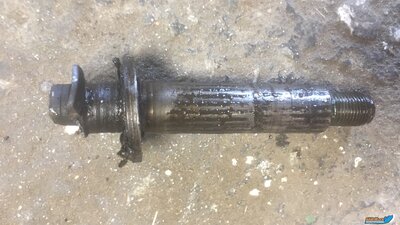VGDT9846[1].JPG