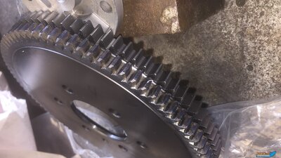 SEOQ1170[1].JPG