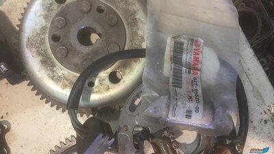 EXMV9087[1].JPG