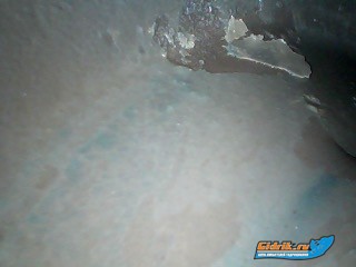 EE48B1BD-8B61-4D20-BA64-FB498EEEBC24.jpeg