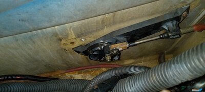 IMG_20211214_071724.jpg