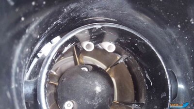 IMG_20220609_170826_0.jpg