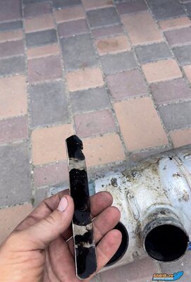 IMG_9097.jpeg