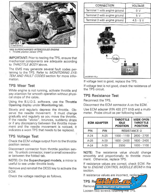 tb 08-3.jpg