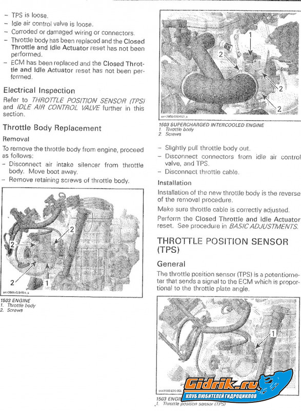 tb 08-2.jpg