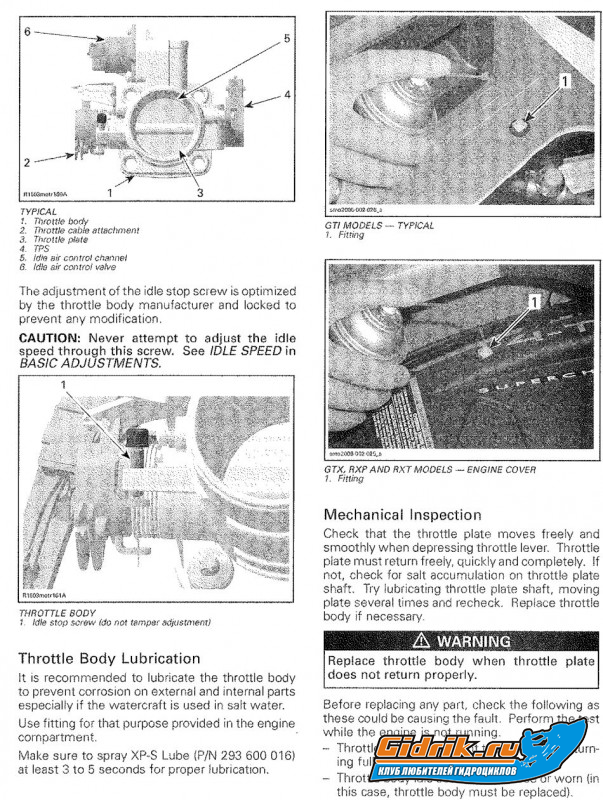tb 08 -1.jpg
