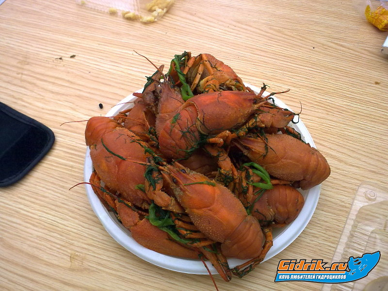 27062009230_resize.jpg
